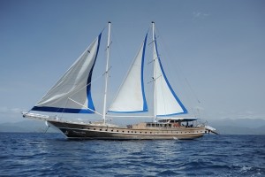 GULET PRENSES LILA-3577