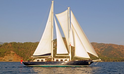 OFELIA 